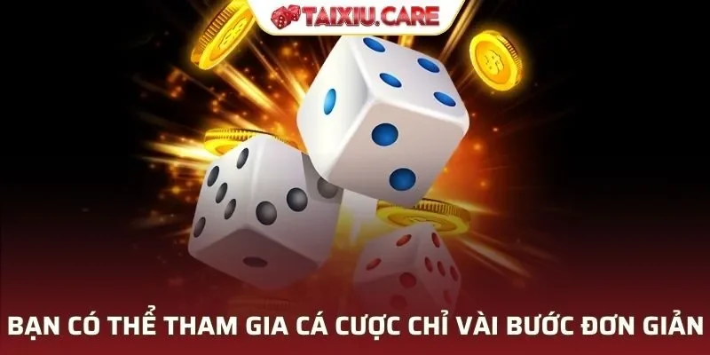 Bạn có thể tham gia cá cược chỉ với vài bước đơn giản