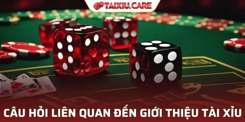 Câu hỏi liên quan đến giới thiệu tài xỉu