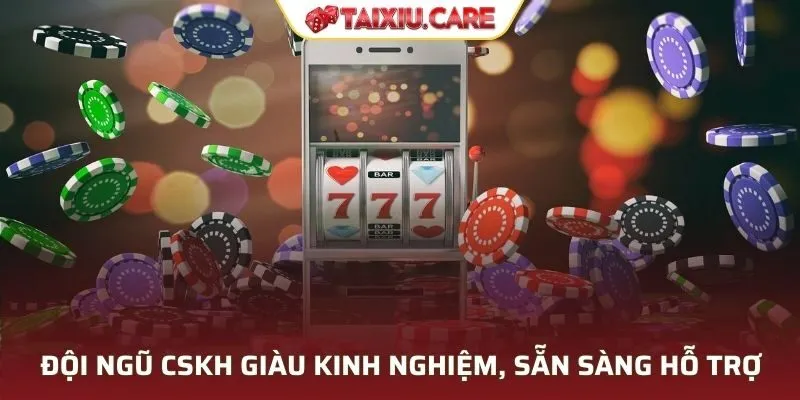 Đội ngũ nhân viên chăm sóc sẵn sàng hỗ trợ khách hàng