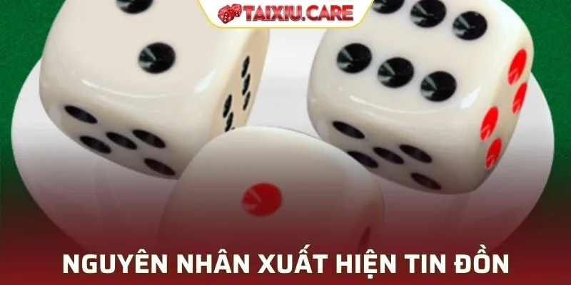 Giải mã nguyên nhân xuất hiện tin đồn Tài Xỉu lừa đảo