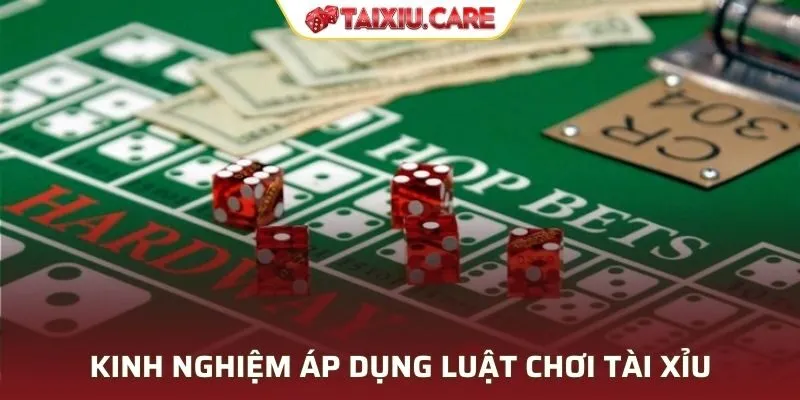 Kinh nghiệm áp dụng luật chơi tài xỉu hay nhất