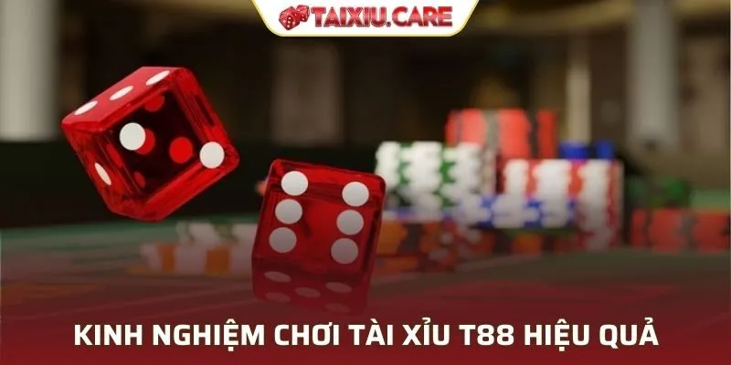 Kinh nghiệm chơi tài xỉu T88 hiệu quả