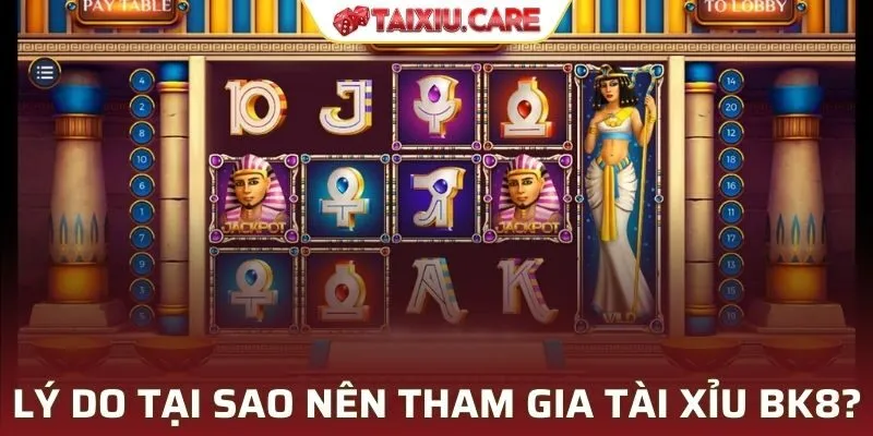 Lý do tại sao nên tham gia tài xỉu BK8?