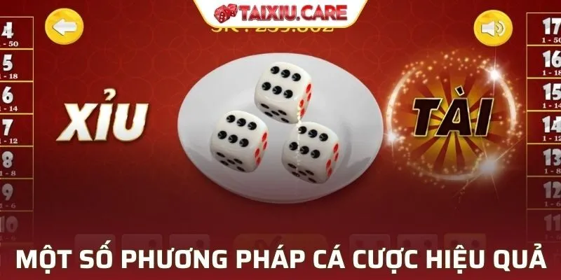 Một số phương pháp cá cược hiệu quả