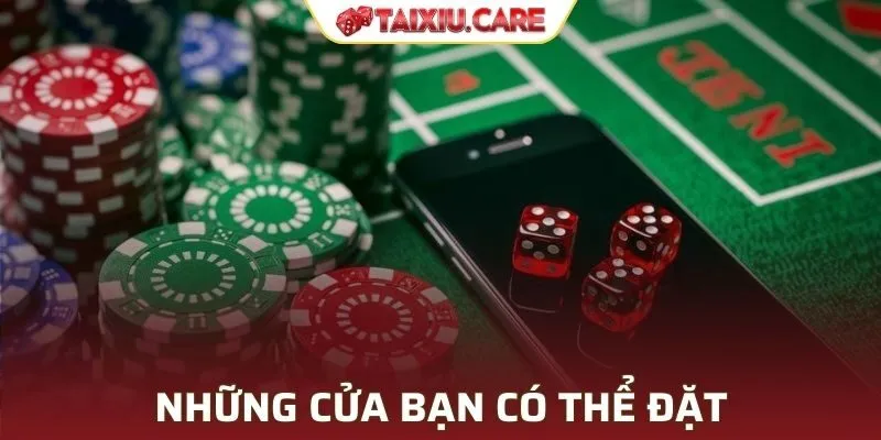 Những cửa bạn có thể đặt